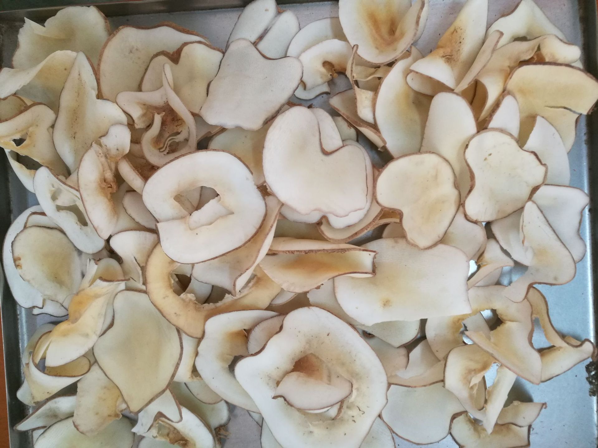 海底椰复椰子煲汤底料1000g60元包邮中药材