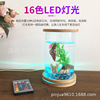 originality Acrylic fish tank customized Zona pellucida desktop Scenery Aquarium ecology fish tank Mini Hopper tank