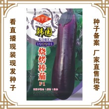 韩园烧烤长茄  冯子龙种苗公司直售批零大田基地种植蔬菜种子