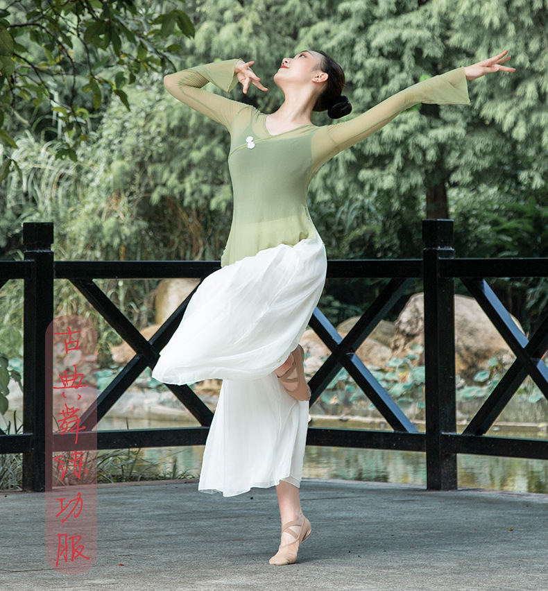 长袖网纱上衣现代舞练习服中国古典民族演出教师基训练功服成人女