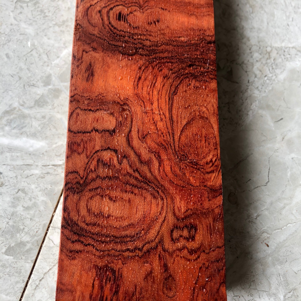 墨西哥微凹黄檀木 微凹黄檀原木木材 微凹黄檀木料