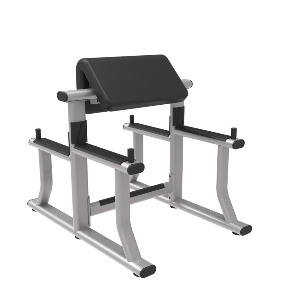牧师椅 二头肌训练架 杠铃弯举训练自由力量训练架