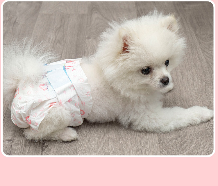 宠物纸尿裤猫用母猫咪防孕姨妈月经卫生裤小型犬狗狗尿不湿生理裤
