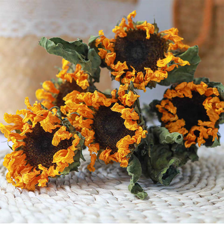 干花向日葵干花花束diy干花礼物干花批发花束创意装饰插花道具