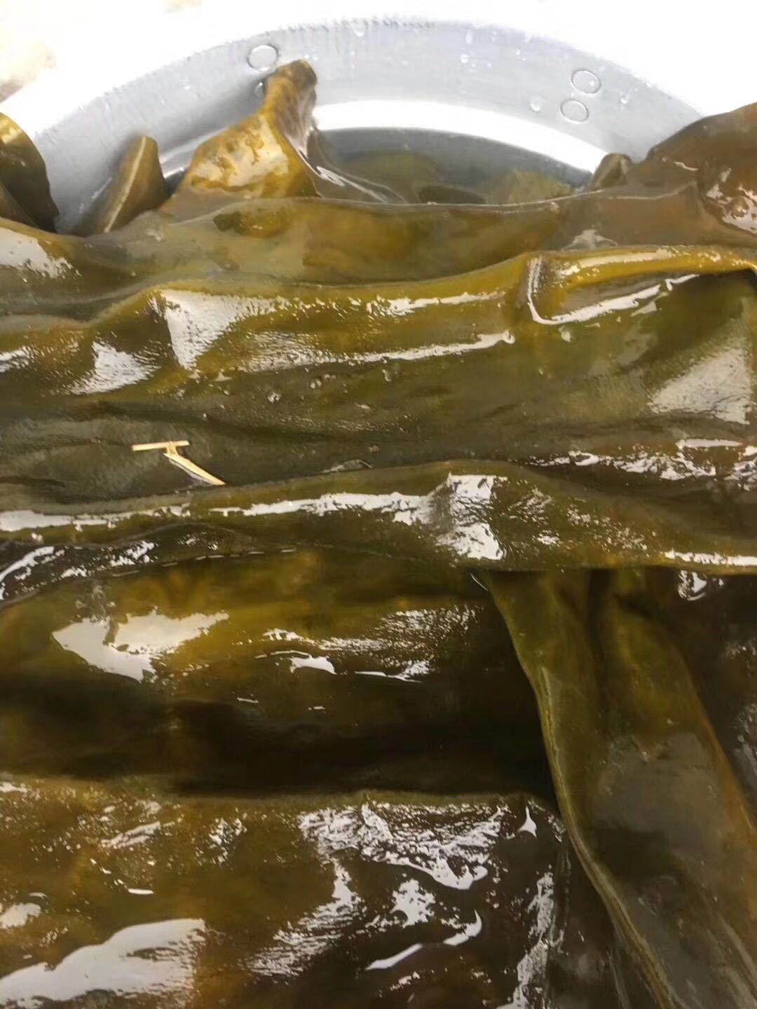 海产品干货海带皮 跑江湖地摊货源厂家 热卖货源展销会10元模式海带