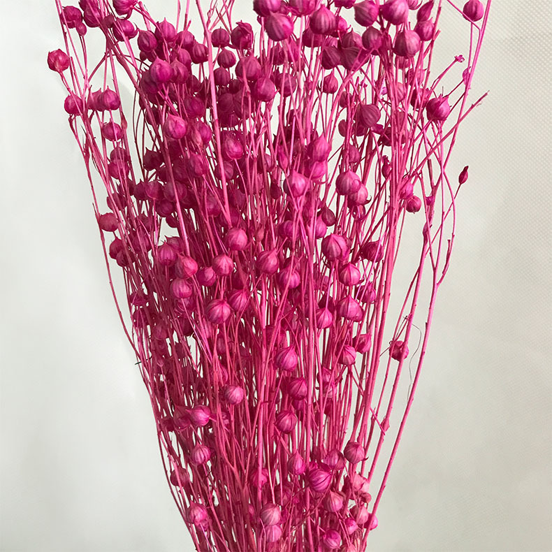 【相思豆】文艺diy定制花材花束 淘宝拍照道具 天然植物干花批发