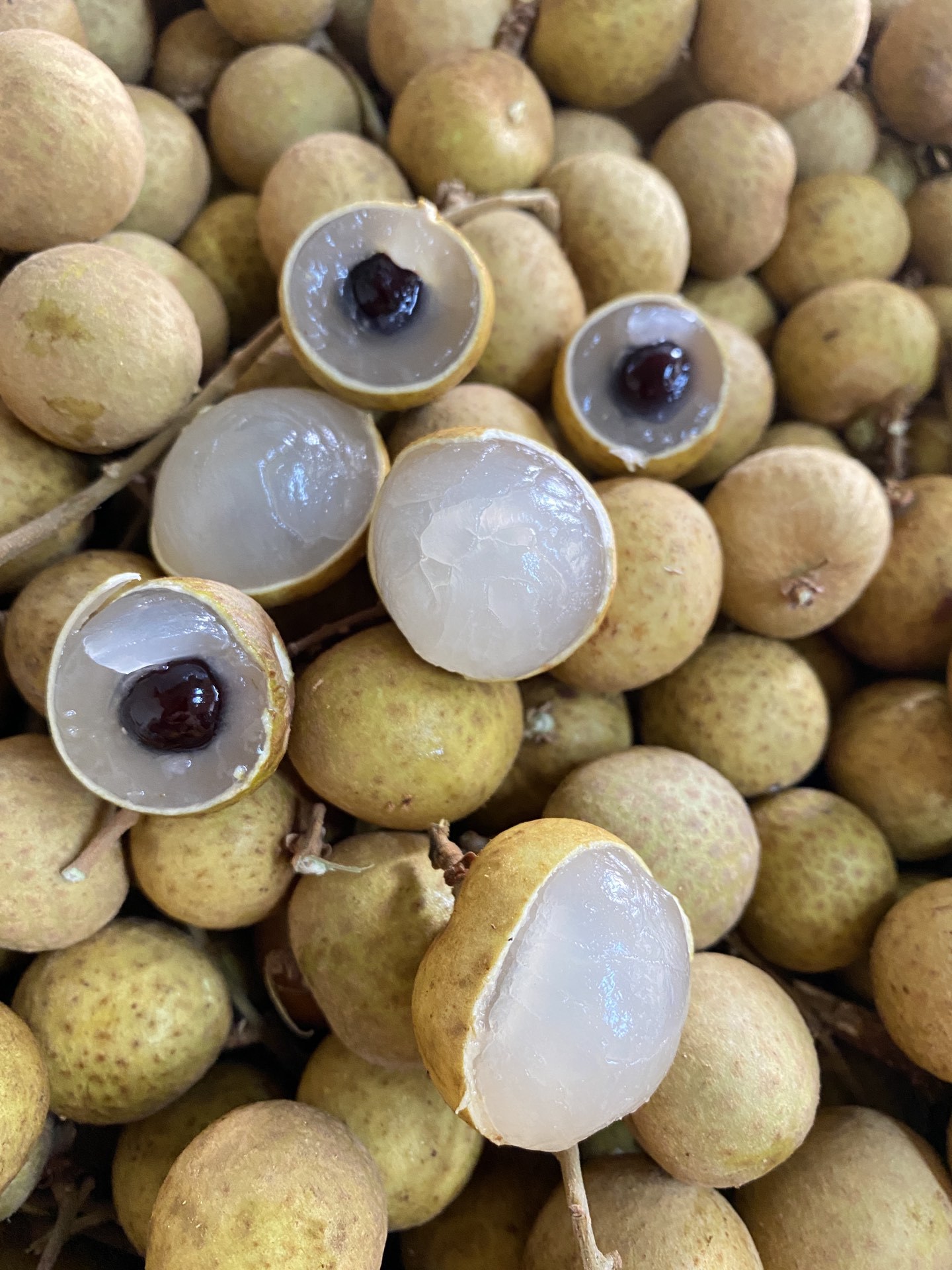 龙眼泰国龙眼新鲜水果5斤装龙眼鲜甜大桂圆应季整箱批发一件代发