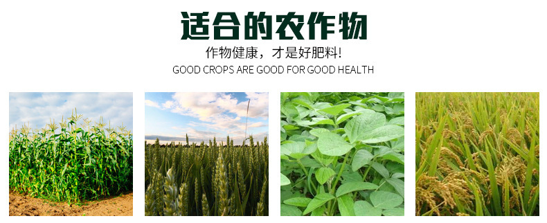 进口全控复合肥控释肥通用型氮磷钾复合肥大姜生姜有机花卉缓释肥