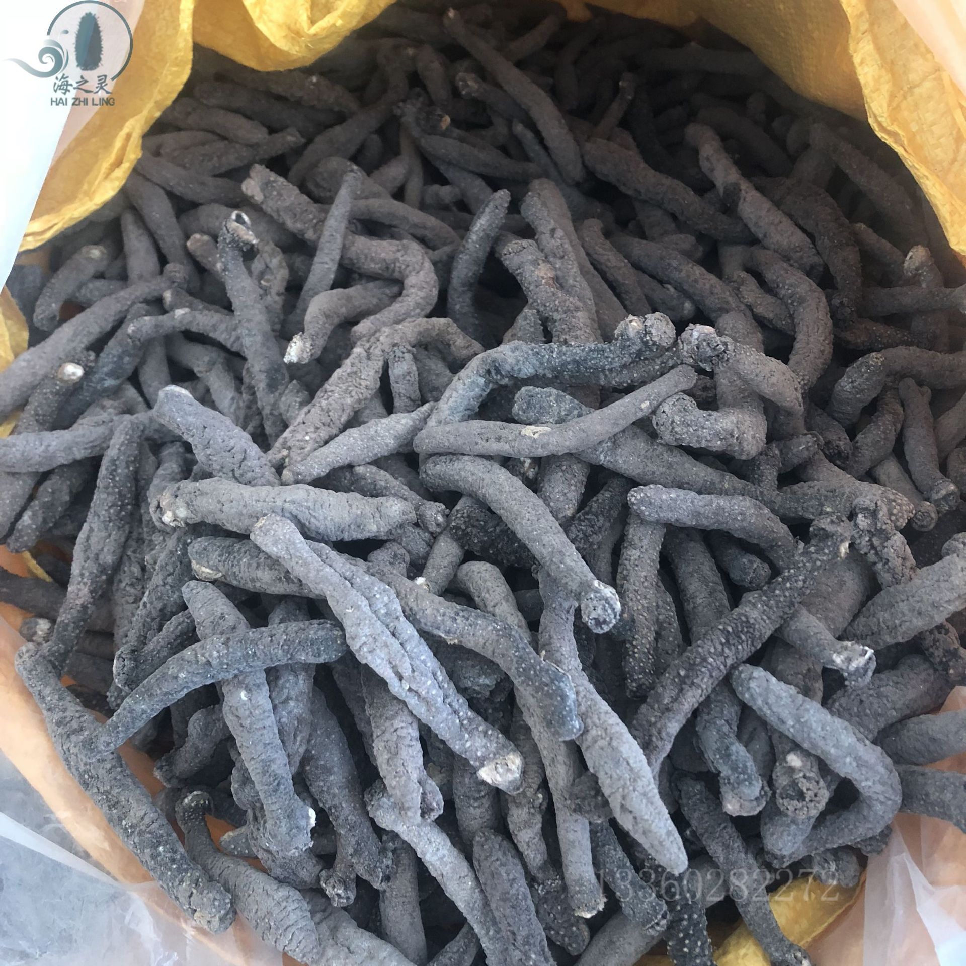 花蛇参海洋淡干带刺血蛇参黑参500克 海参干货批发酒店酒席食材