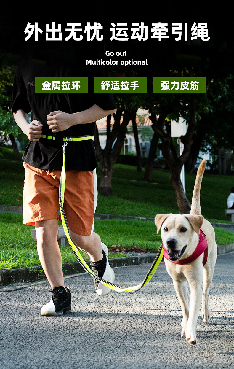 宠物缓冲狗狗跑步牵引绳拉带泰迪遛狗绳子中大型犬防爆冲腰带链子