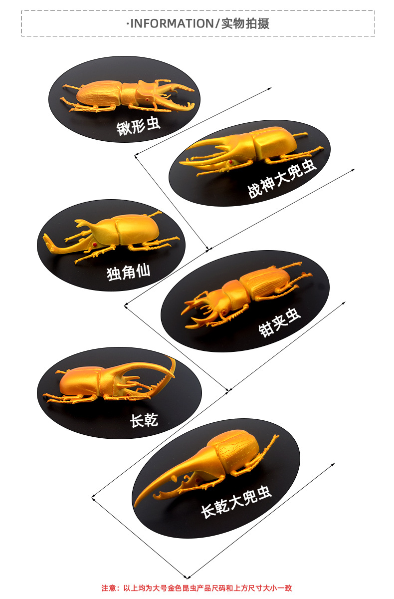 跨境大甲虫模型金色独角仙仿真昆虫模型玩具楸型虫万圣节整蛊玩具