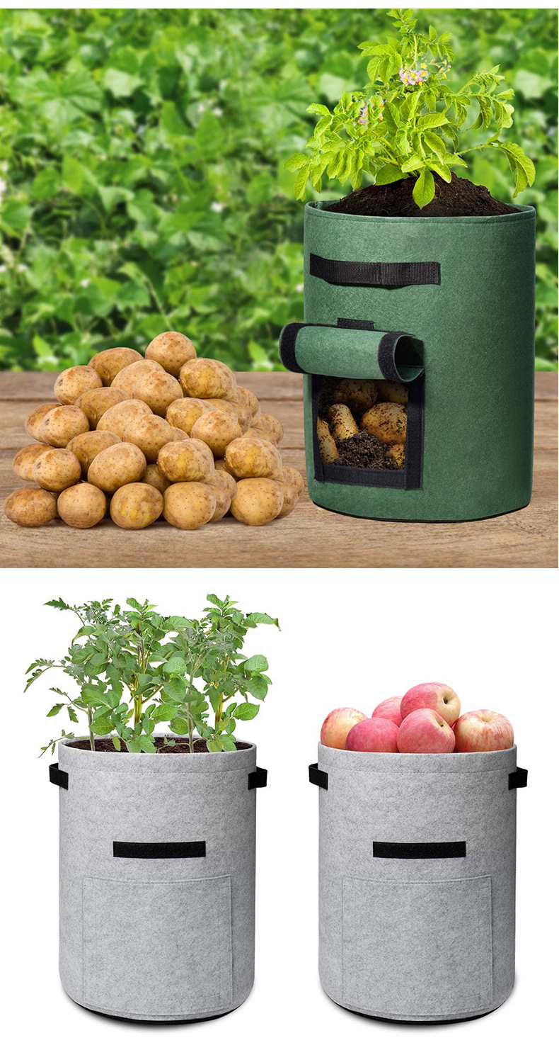 毛毡种植桶 马铃薯土豆蔬菜种植袋 现货大容量植物育苗种植桶定制