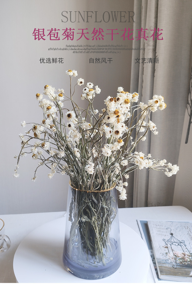 厂家直销银苞菊干花花束 天然风干真花小雏菊干花客厅装饰摆件