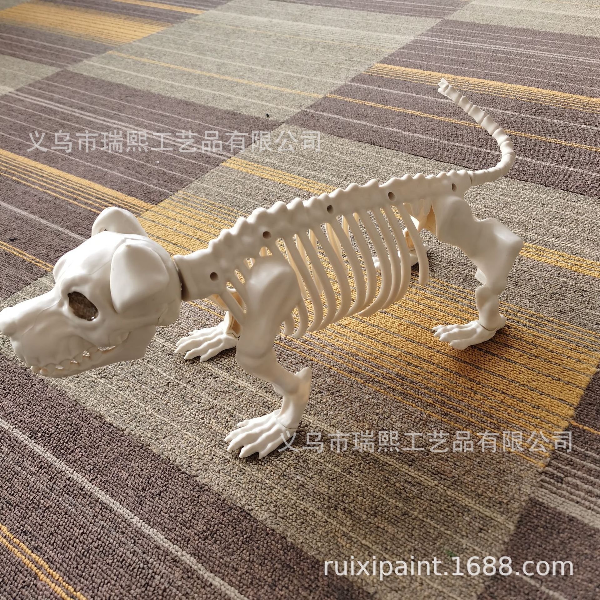 厂家直销万圣节大型狗骨骼 小狗骨架 骨架模型 动物教学演示模型