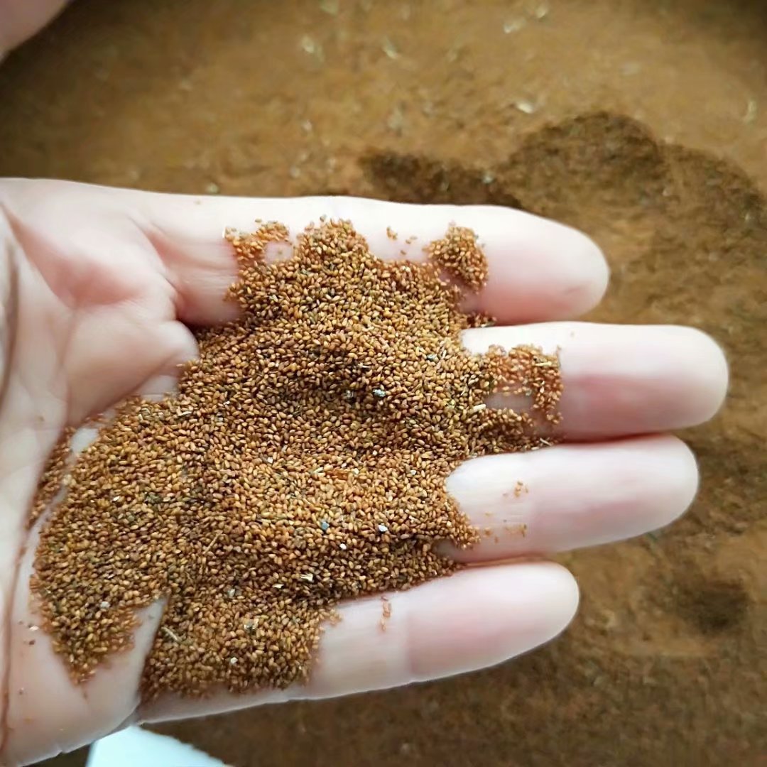 中药材葶苈子 每件500克