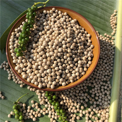 白胡椒baihujiao产地海南省琼海市6月产新35元每公斤包邮白胡椒