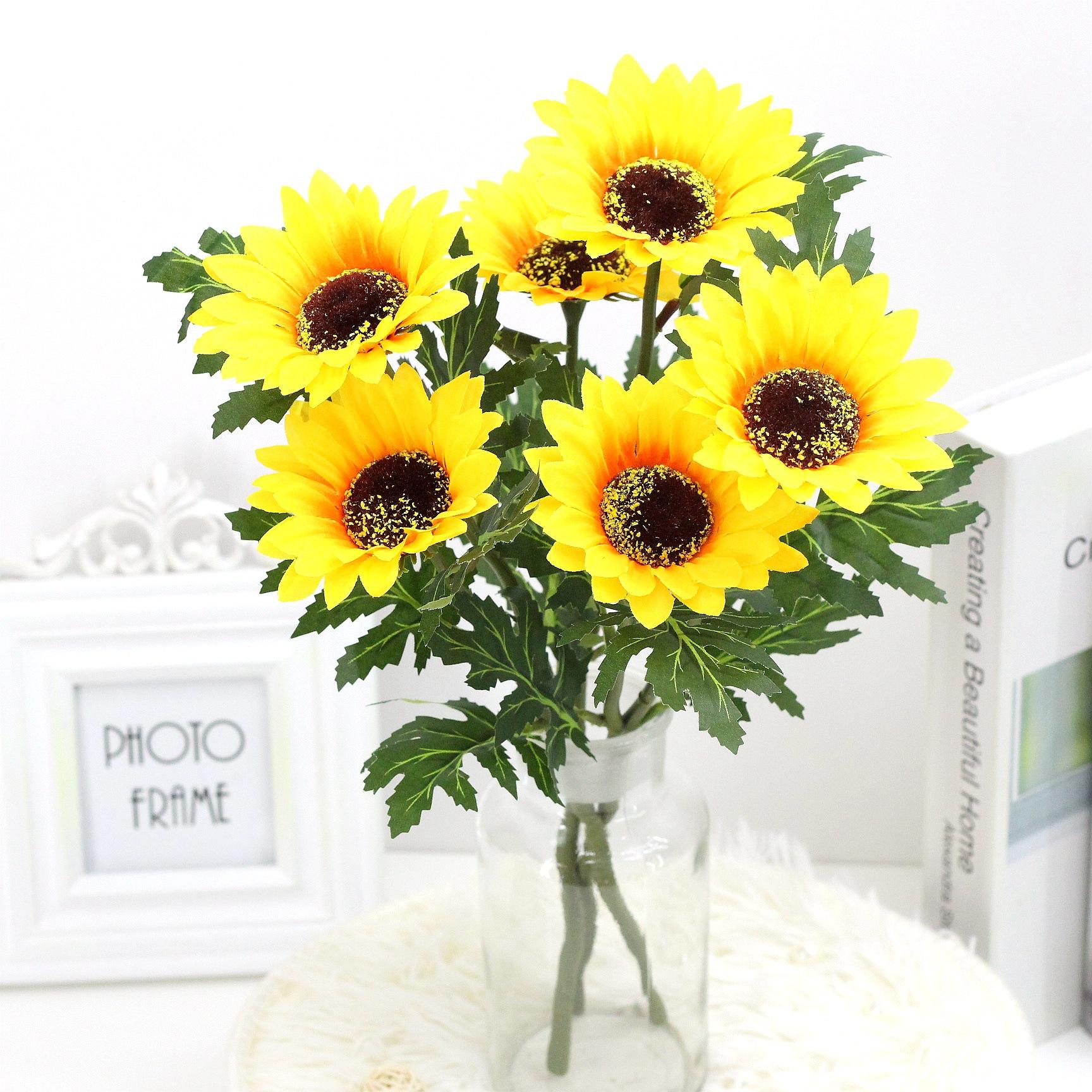 向日葵小雏菊-新款价格,厂家,货源-阿里巴巴