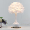 remote control Feather Table lamp bedroom Bedside lamp Northern Europe ins girl Red light Warm romantic modern Simplicity Typhoon remote control Feather Table lamp bedroom Bedside lamp Northern Europe ins girl Red light Warm romantic modern Simplicity Typhoon
