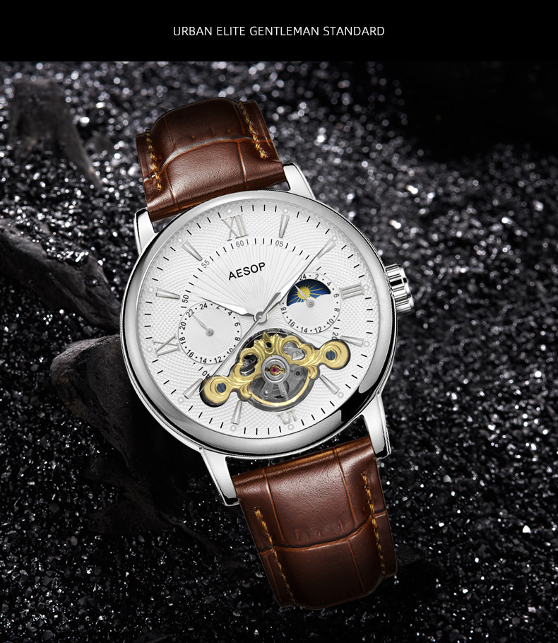aesop伊索2020新款正品夜光防水全自动男机械表1028