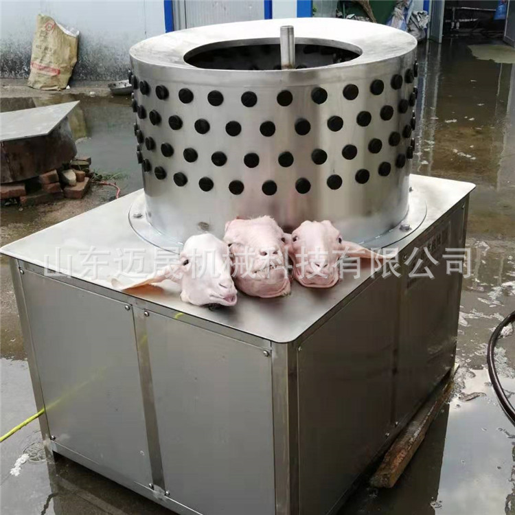 厂家现货供应羊头脱毛机电动脱毛机器羊屠宰脱毛设备支持定制