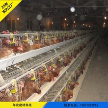 养殖鸡笼 层叠式鸡舍蛋鸡笼 养殖场鸡笼子三层阶梯式蛋鸡笼