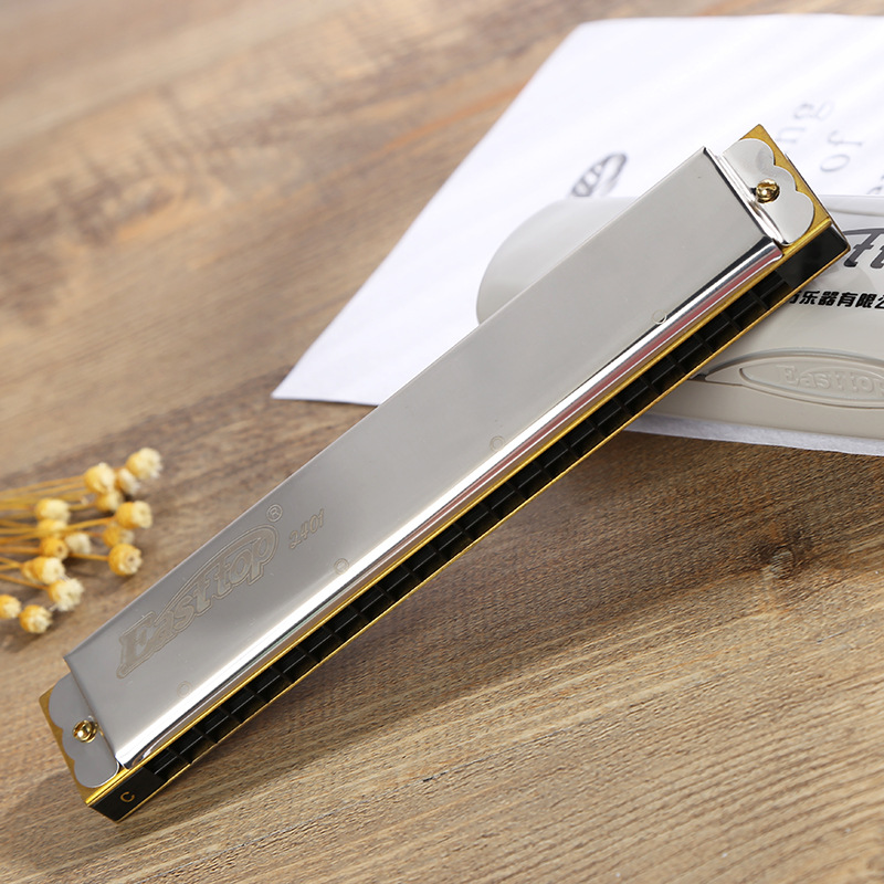 新款复音口琴地摊货源t240124孔儿童音乐训练学习乐器