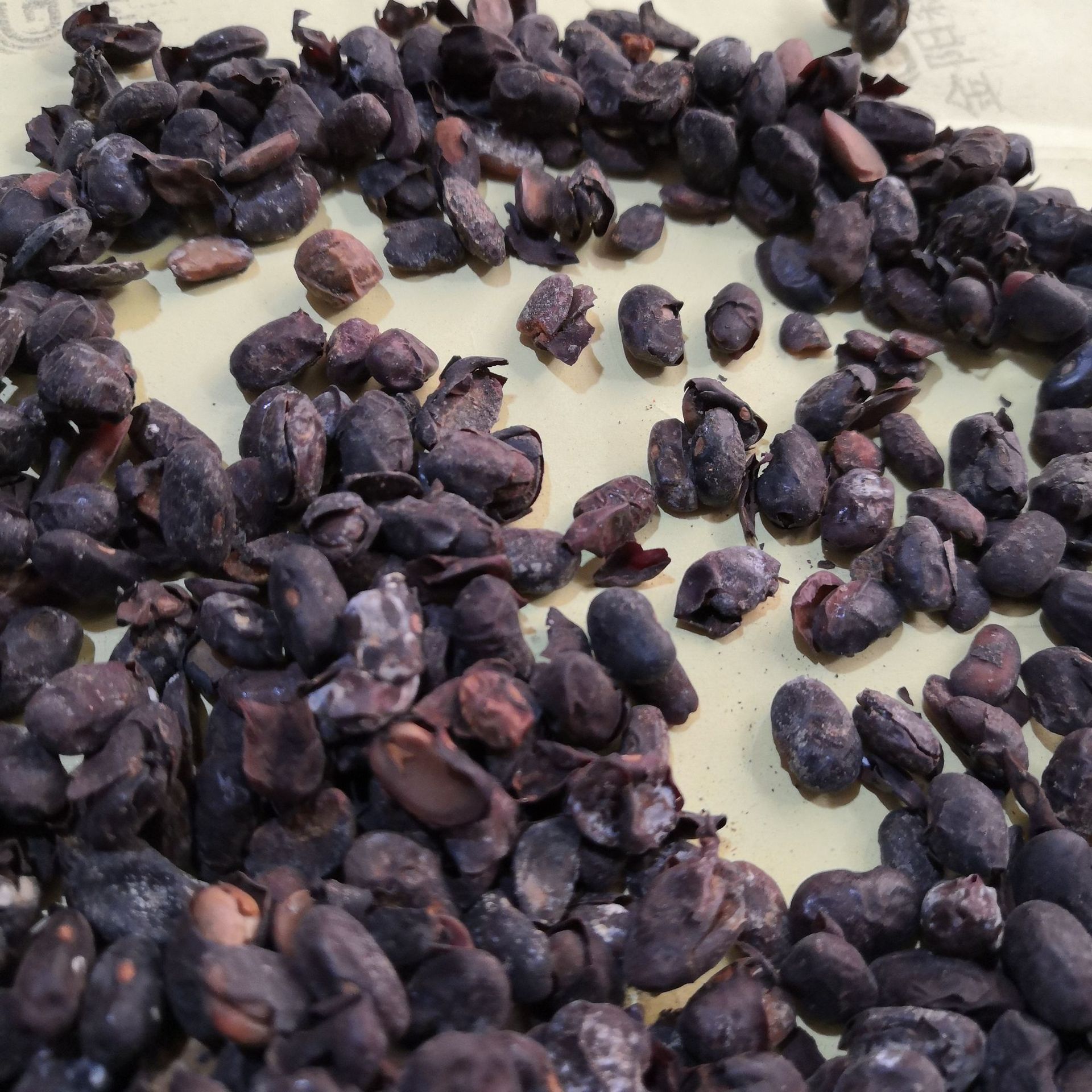 淡豆豉批发零售 中药材豆豉 淡豆豉 香豉 实物拍摄