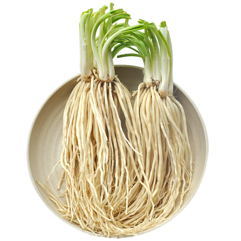 2斤包邮 撇菜根云南新鲜蔬菜大韭菜根月子良菜可腌制炖汤苤菜根