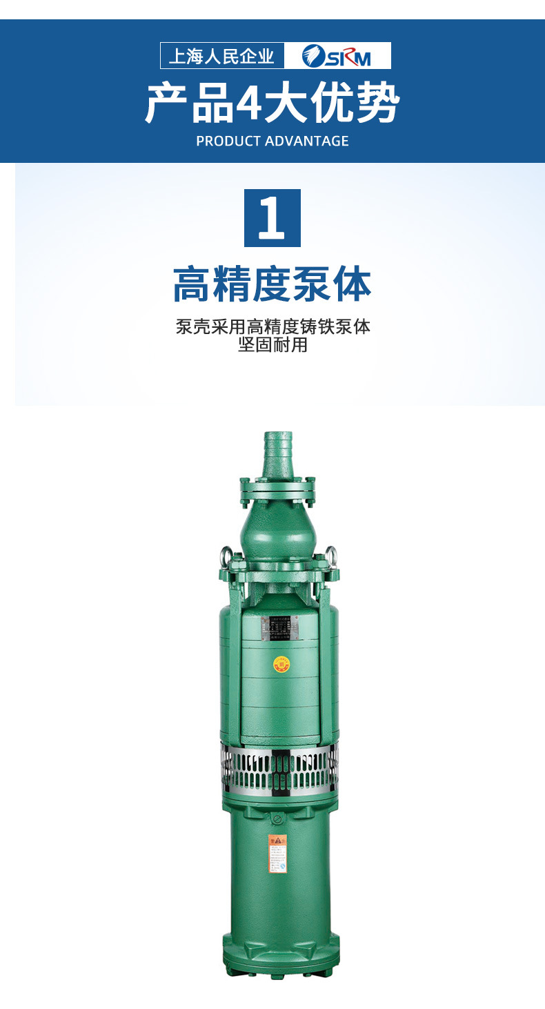 上海人民牌潜水泵规格图片