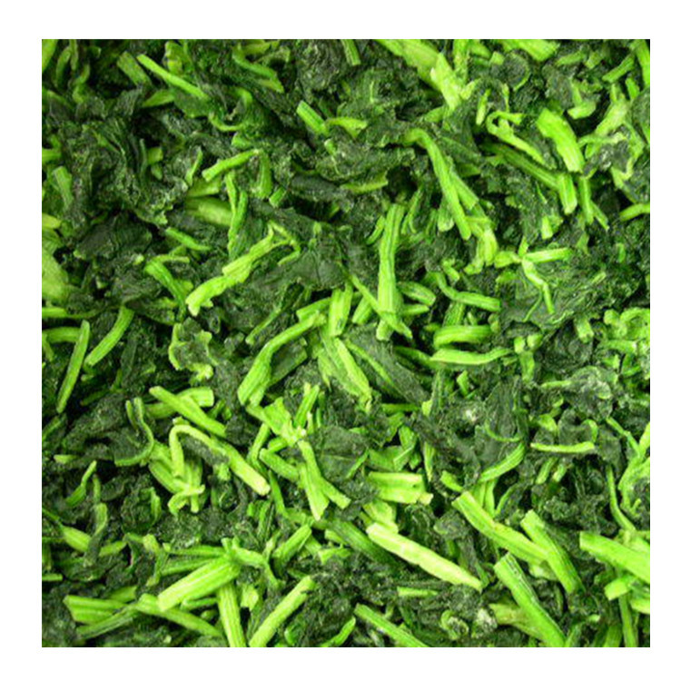 速冻菠菜 冷冻菠菜 次品菠菜 盘冻菠菜球 速冻菠菜段 工厂直发