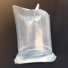 草鱼罗非鱼苗小口氧气包装袋加厚加长活鱼运输泥鳅苗塑料袋42*85