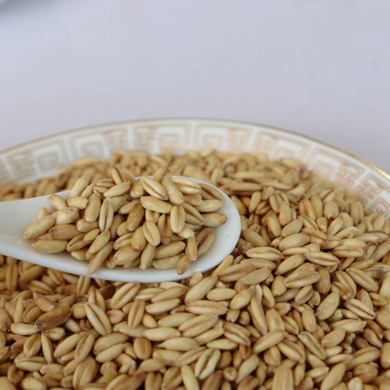 厂家现货低温烘焙熟麦仁散装五谷杂粮 现磨豆浆原料批发