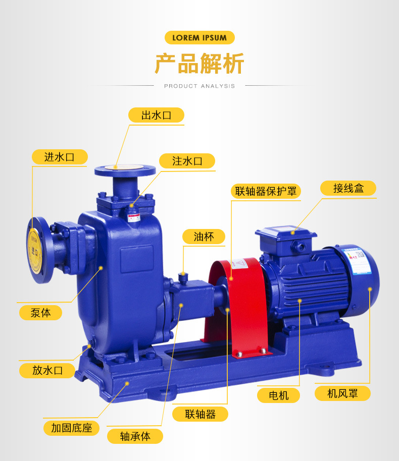 zw自吸排污泵 铸铁自吸排污泵 电动自吸式污水泵 单级自吸排污泵