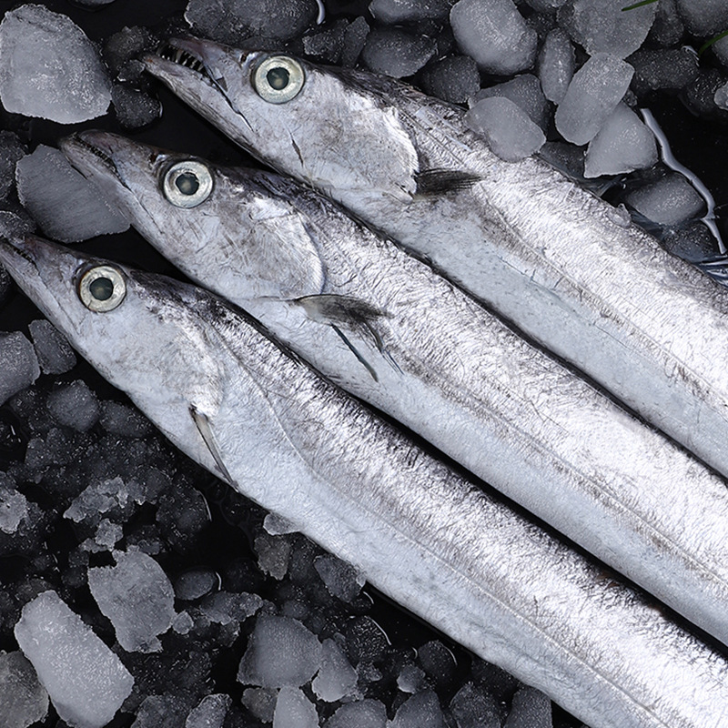 52-53条整条带鱼1箱/13斤海鲜刀鱼鲜活冷冻深海鱼