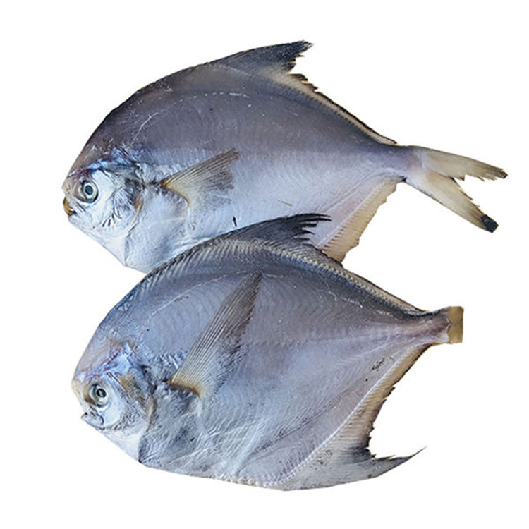 包邮海鲜干货海鱼银鲳扁平鱼海鲜类海产品腌制咸鱼干特产饭酒店斤