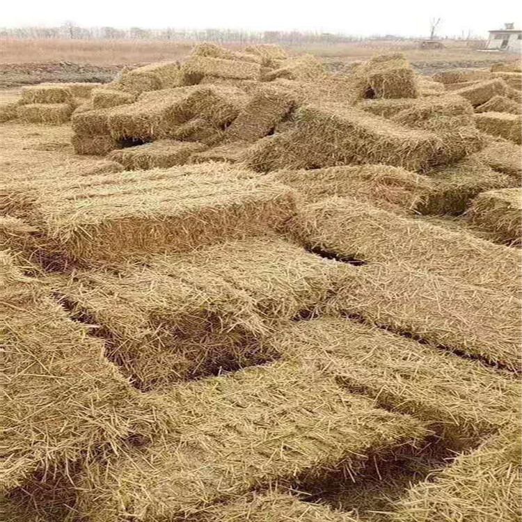 玉米秸秆草块