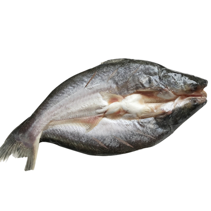 开背鱼巴沙鱼烤鱼 冰冻湄公鱼 开背龙利鱼纸包鱼 10公斤/箱