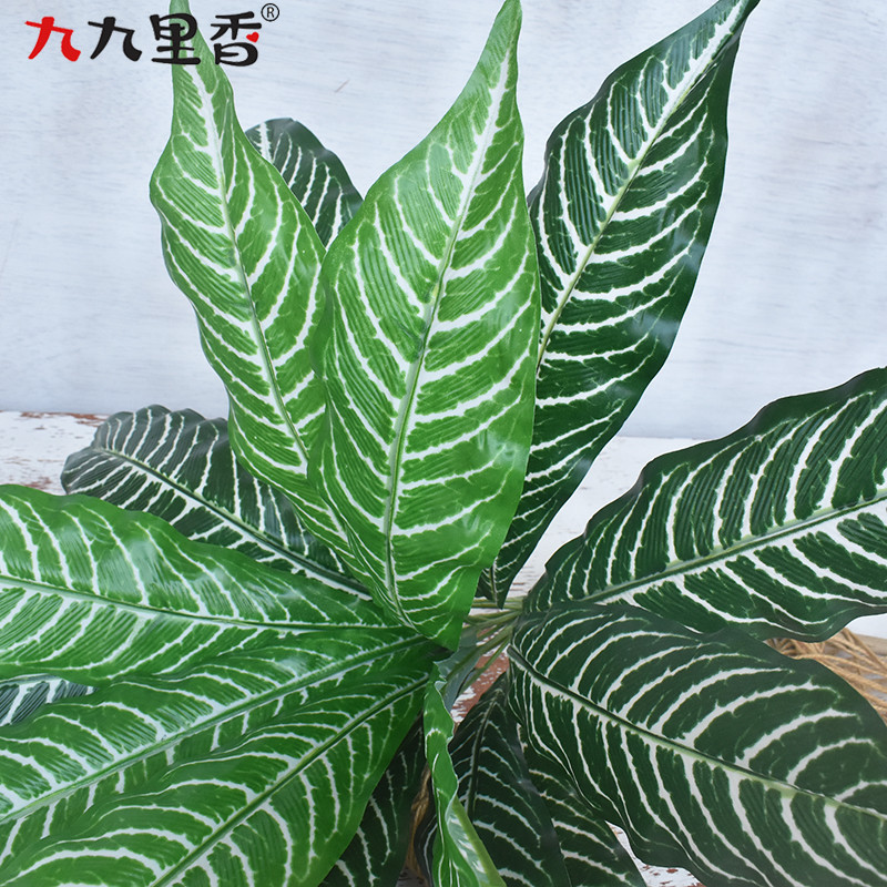 手感中18叶鸟巢蕨仿真蕨类植物蕨草排草植物墙配材插花装饰