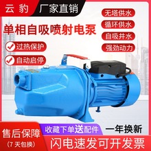 高扬程大流量家用自吸喷射泵自来水增压全自动螺杆水井抽水机220V