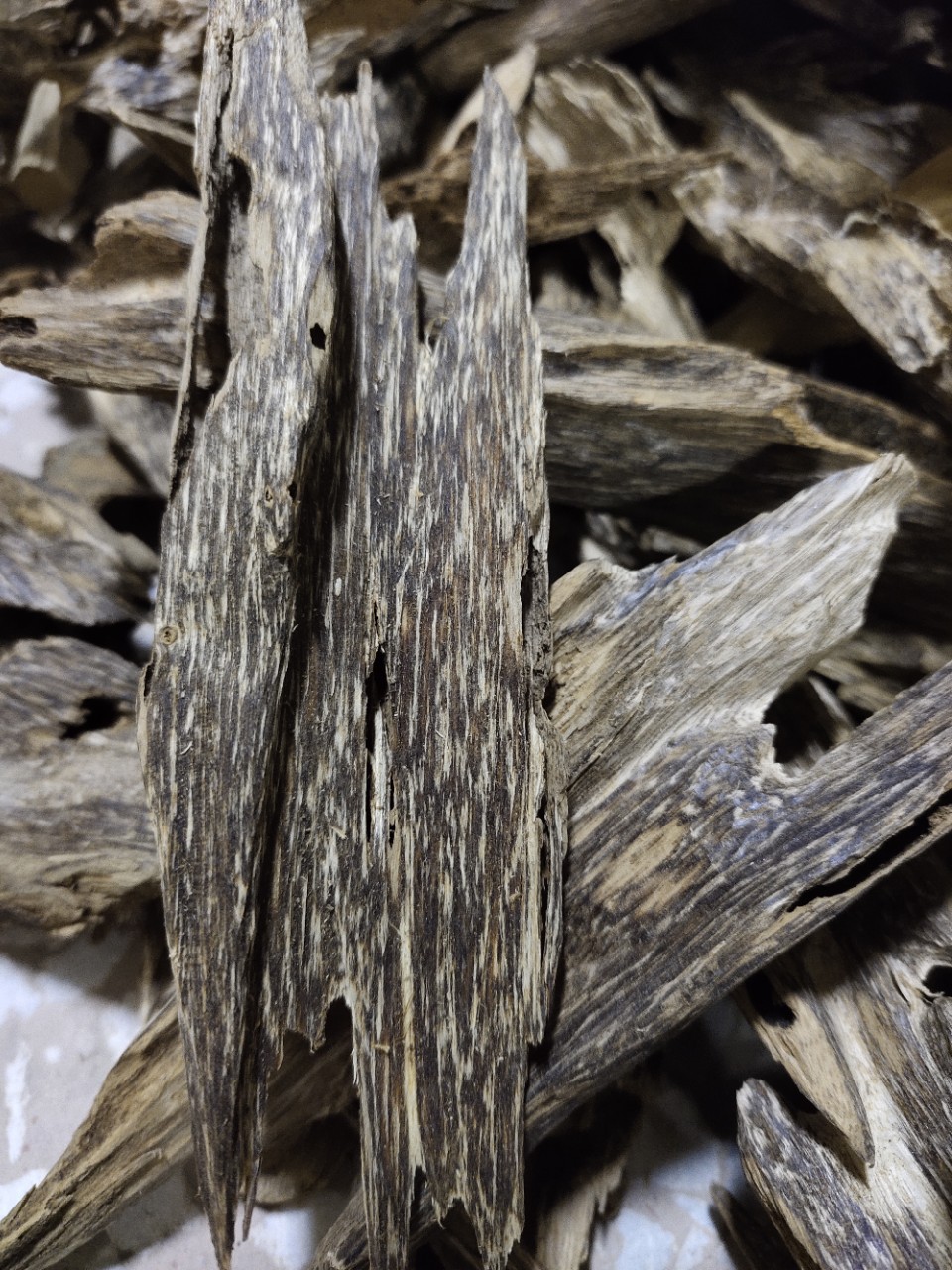 虫漏沉香 黑油碎料海南虫眼蚁漏 沉香壳料香熏 自然结香老原料