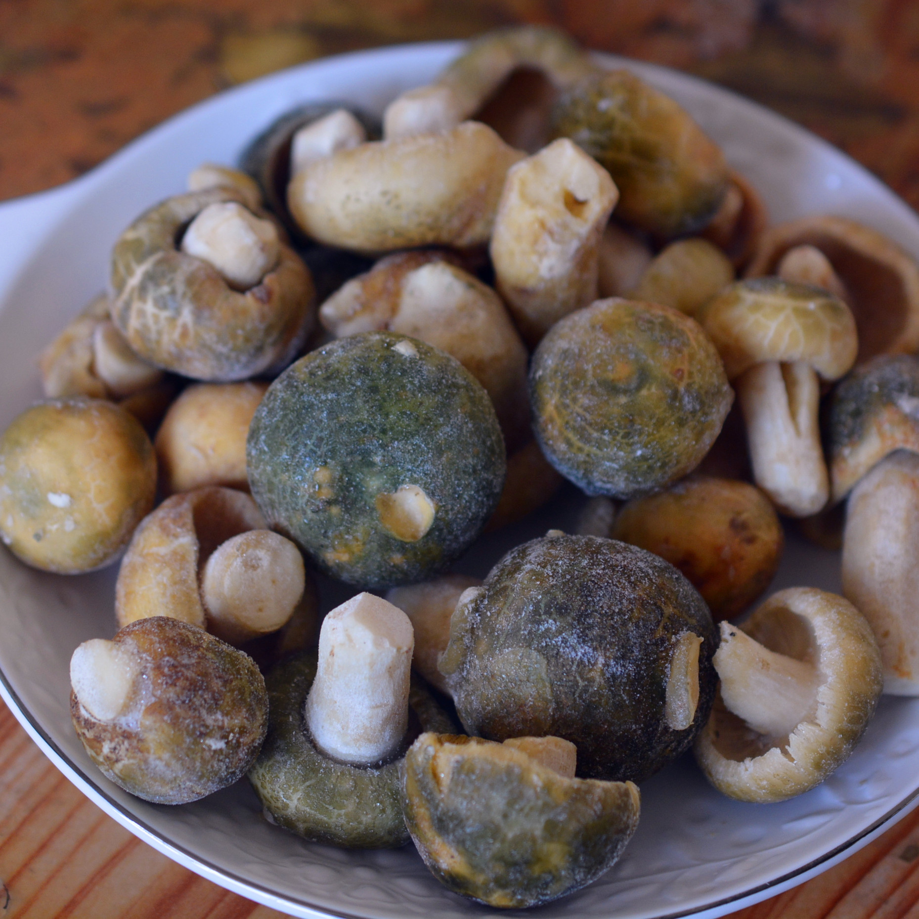 云南新鲜速冻 青头菌小菇朵特产 新鲜绿豆菌蘑菇 泡汤生菌绿头菇