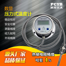压力式数显双金属温度计 WTZ-491  金属线数字温度计 化工温度计