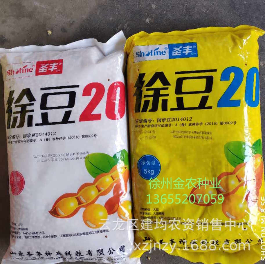 批发 一级黄豆种子 大豆种子高蛋白质含量,豆制品用 徐豆20