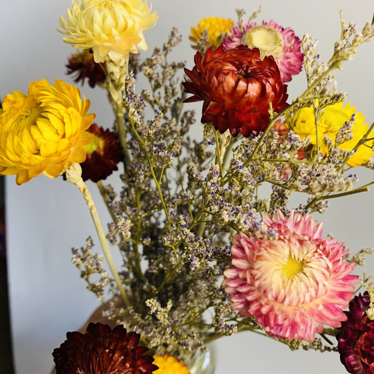 包邮干花花束七彩菊麦秆菊小雏菊干花小清新装饰摆件家居摆设