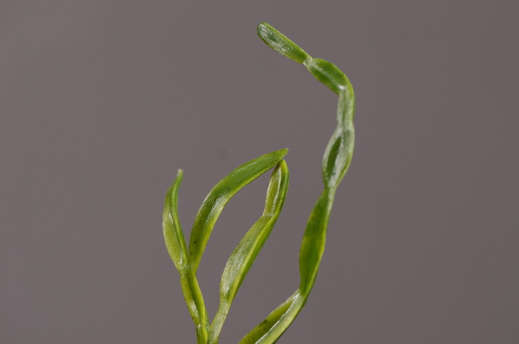 现代简约异形竖纹玻璃花器插花花瓶摆件 百足草仿真配草客厅餐桌