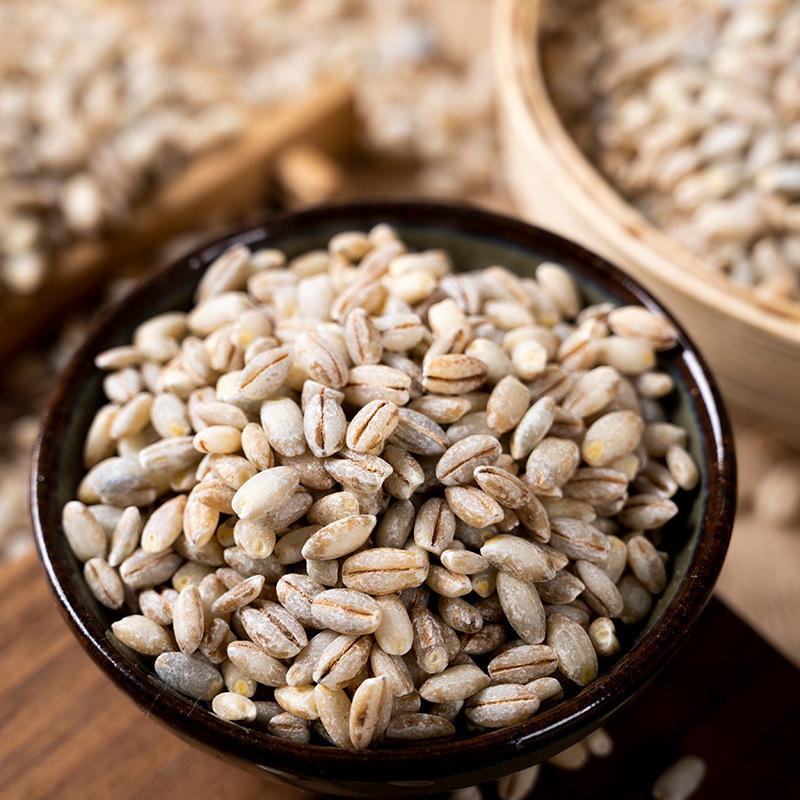 青稞米500g高原特产真五谷粗粮 批发代餐饱腹新蓝青稞米厂家直销