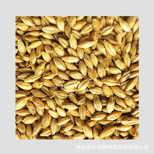 澳麦芽 自酿精酿啤酒生产原料 啤酒大麦芽 二楞麦芽基础麦芽 蓝乔