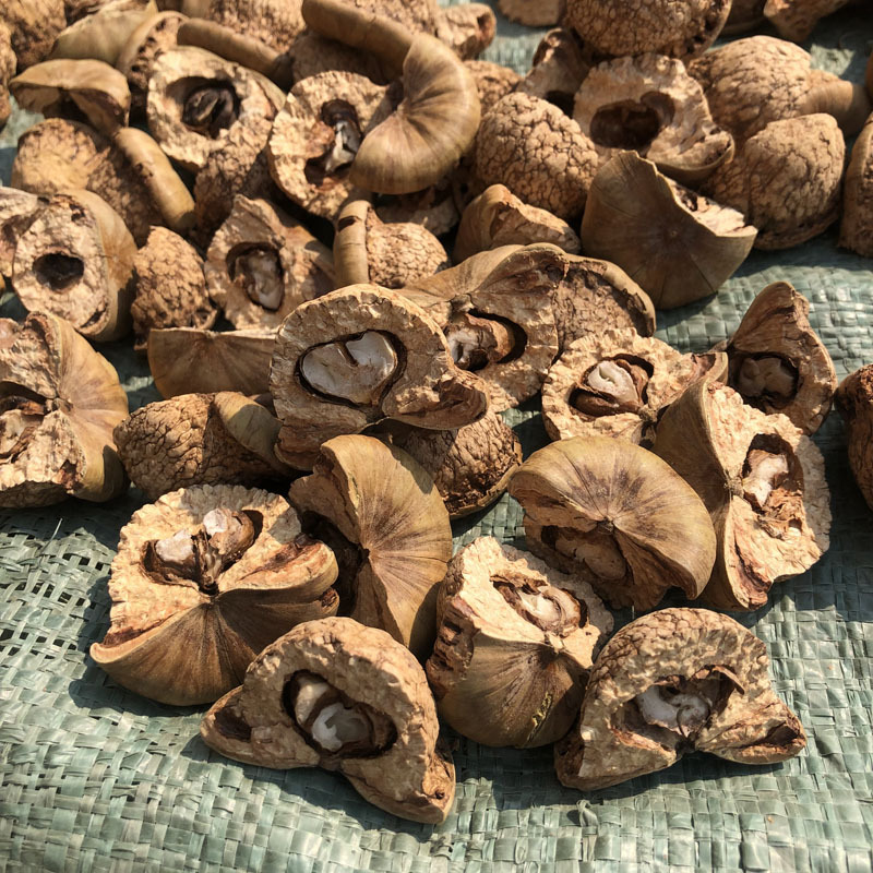 新货风流果龟头果益肾子龟头子男性泡酒料益肾果药材批发500g现货