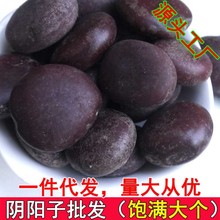 阴阳子 过江龙子 肾树宝 菩提子 木腰子泡酒料药材店铺大量批发