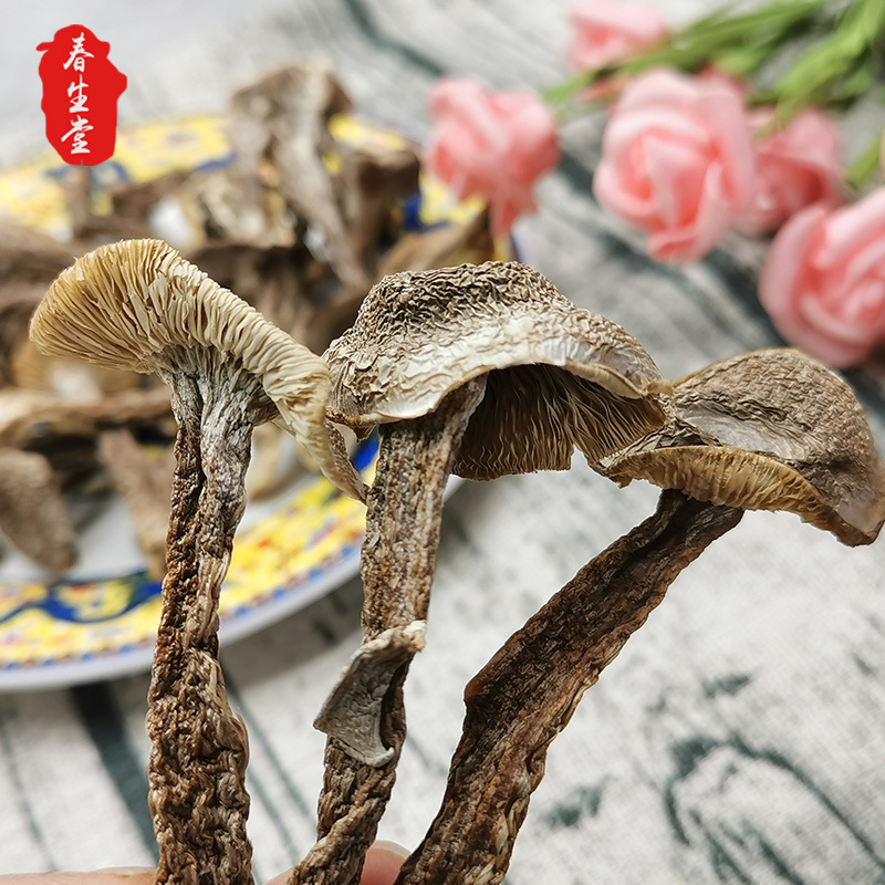 干货食用菌 菌菇煲汤食材 干制农产品新货鹿茸菌农产品批发